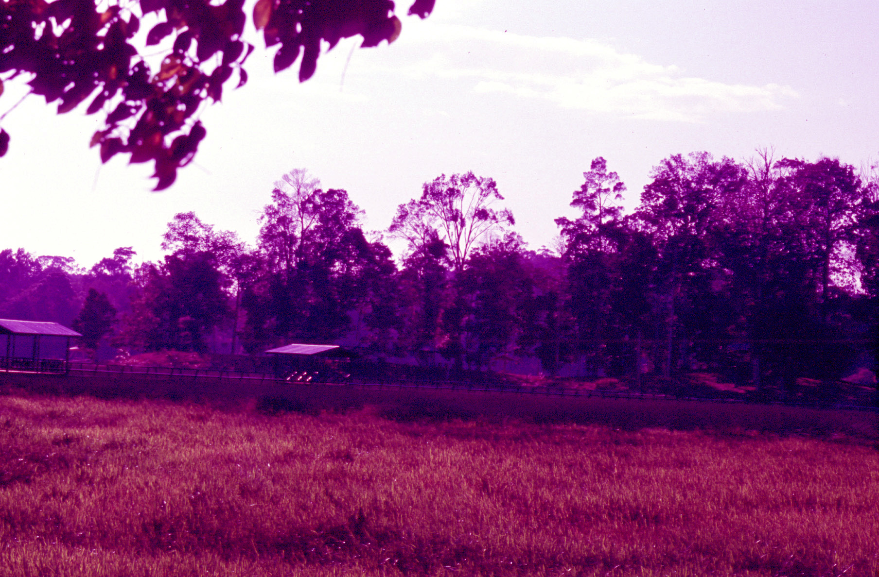 The red landscapes of my childhood